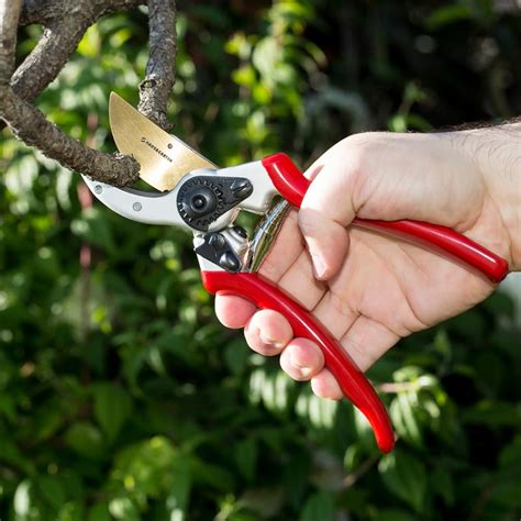 The 5 Best Hand Pruners 